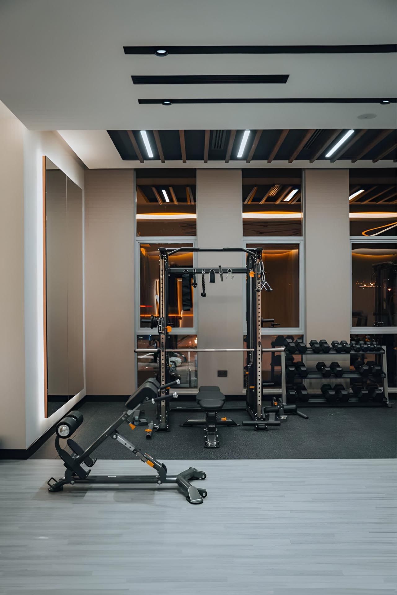 Free-weights zone & mirrored feature wall